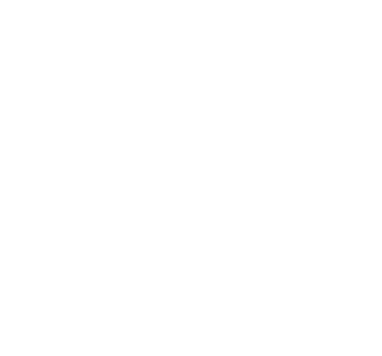 Logo partenaire essec